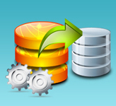 Convert My Database