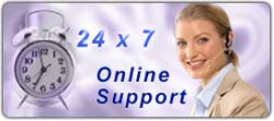 24 x 7 Online Support