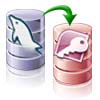 MySQL to MS Access Database Converter
